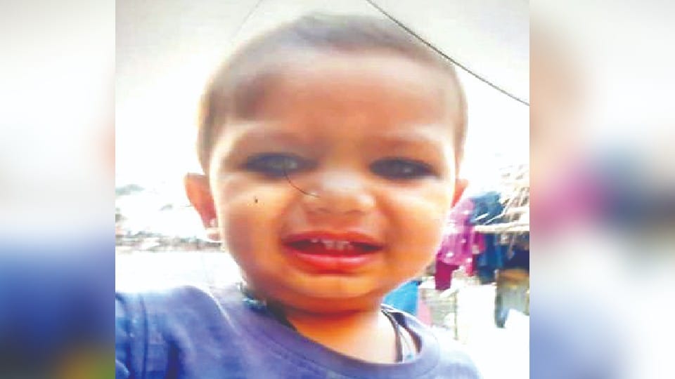 Three-year-old child crushed to death by roadways bus in Budaun