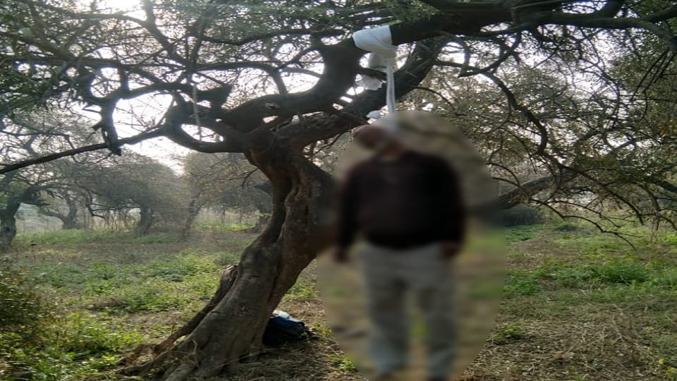 Man commits suicide by hanging himself in Narnaul