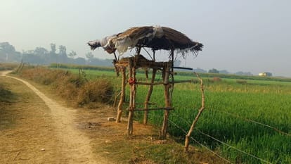 farmer who was sleeping in the field was brutally murdered by tying him to a tree