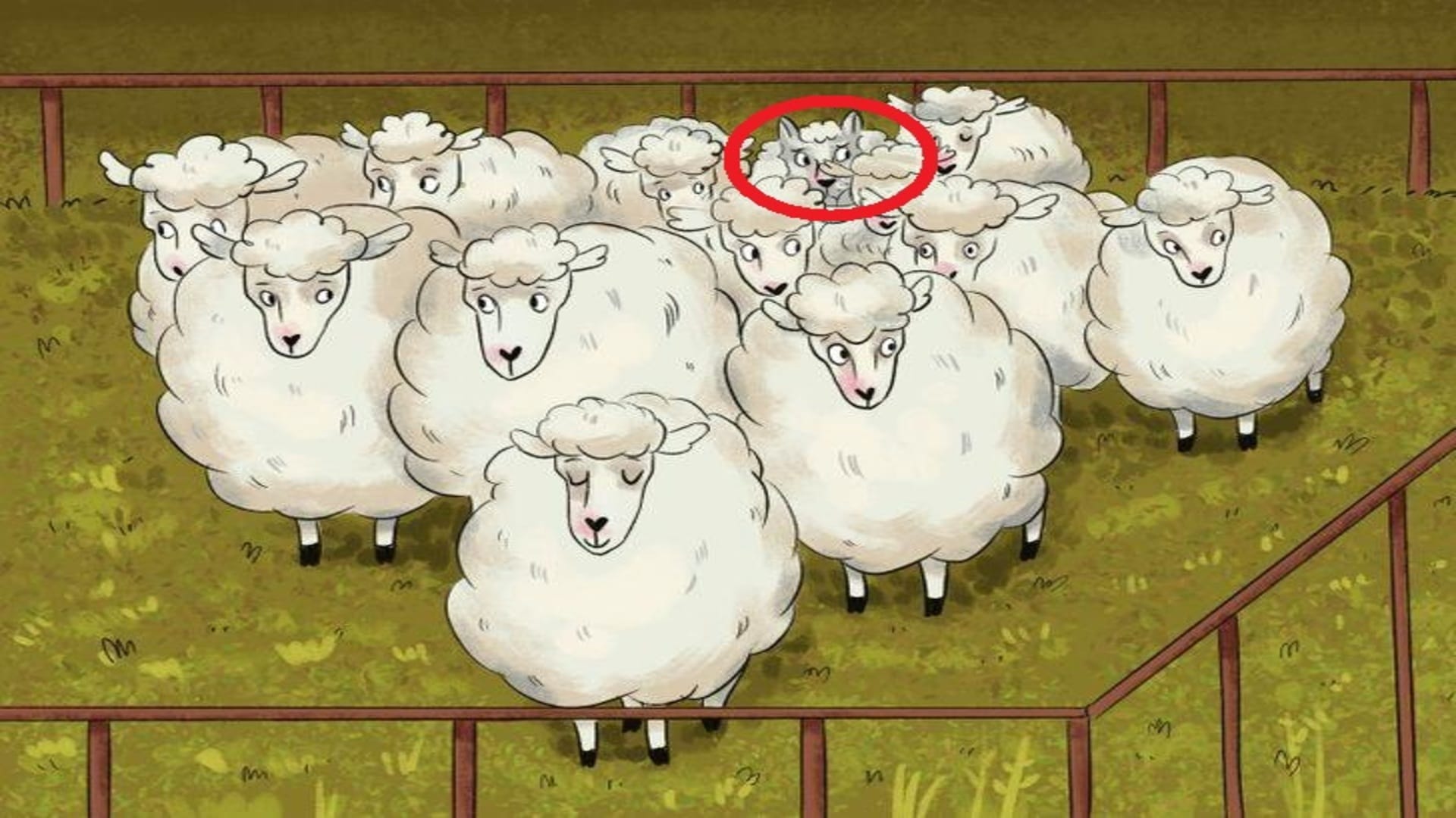 Optical Illusion: Can you spot Hidden Wolf among the Group of Sheep in 5 Secs? Check Your Brain Iq