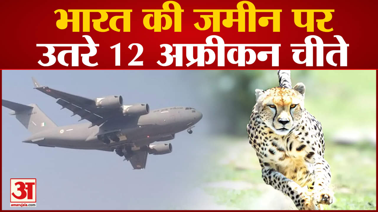 प्रोजेक्ट चीता