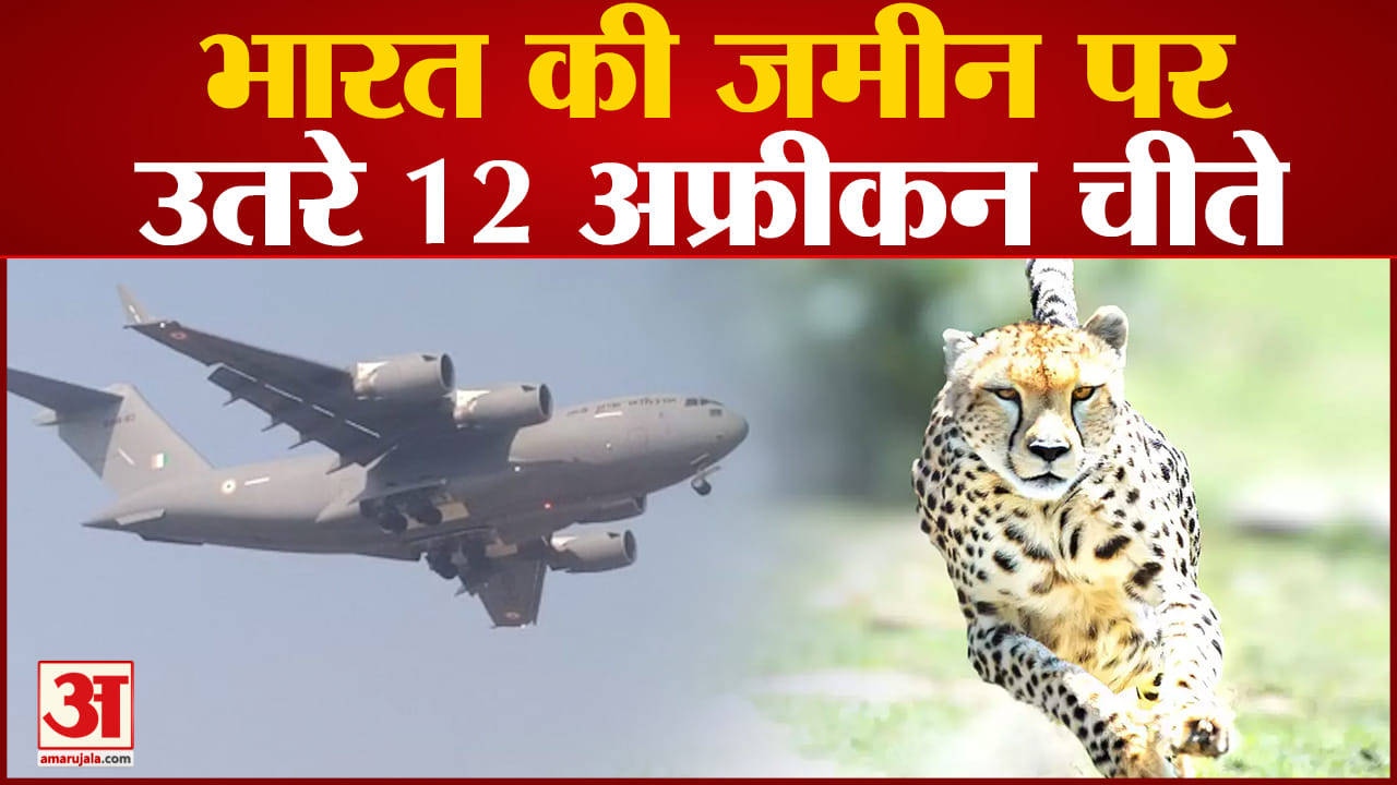प्रोजेक्ट चीता