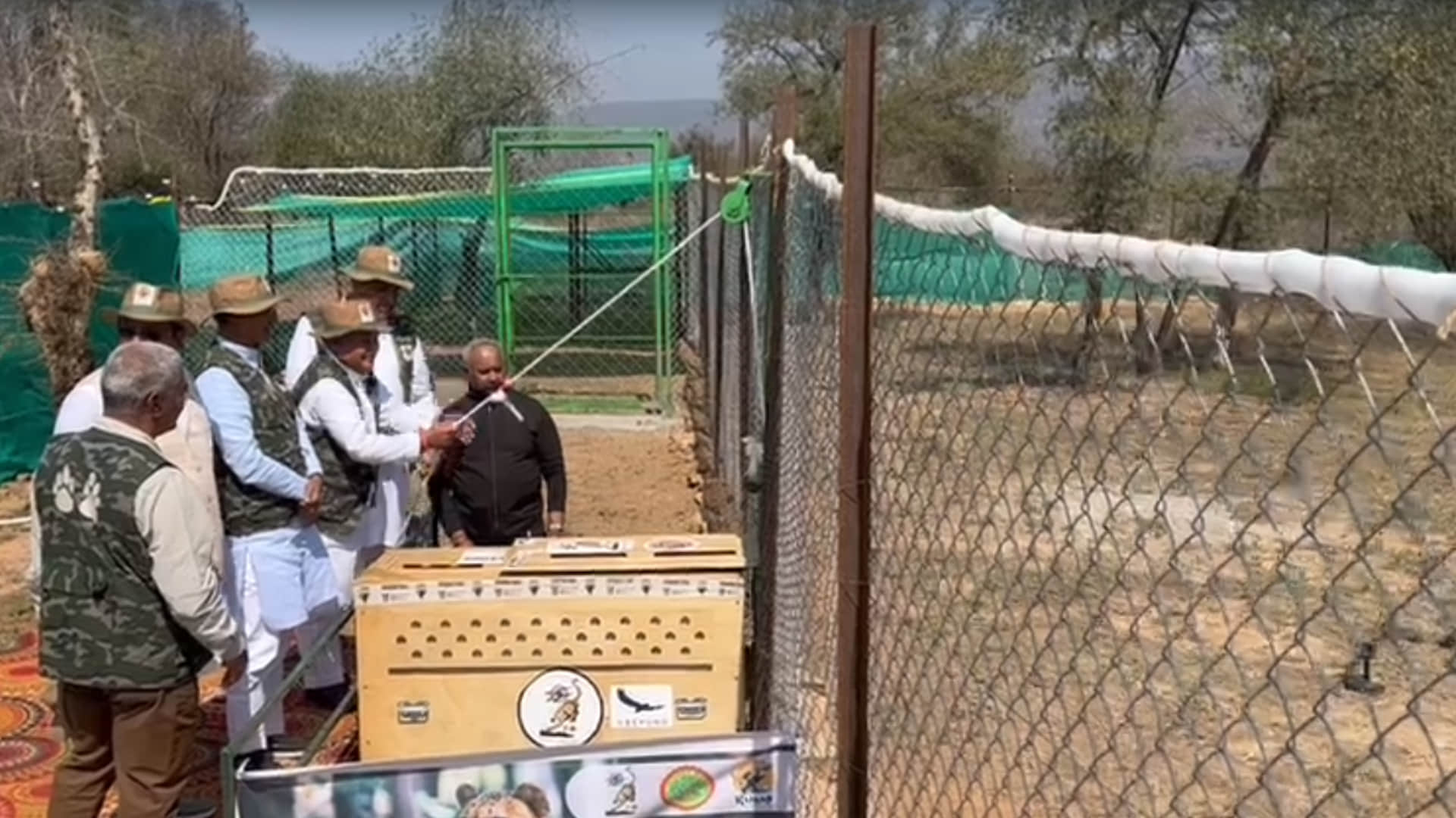 Kuno National Park: 12 more cheetahs came to Kuno, now 20, South African team will monitor