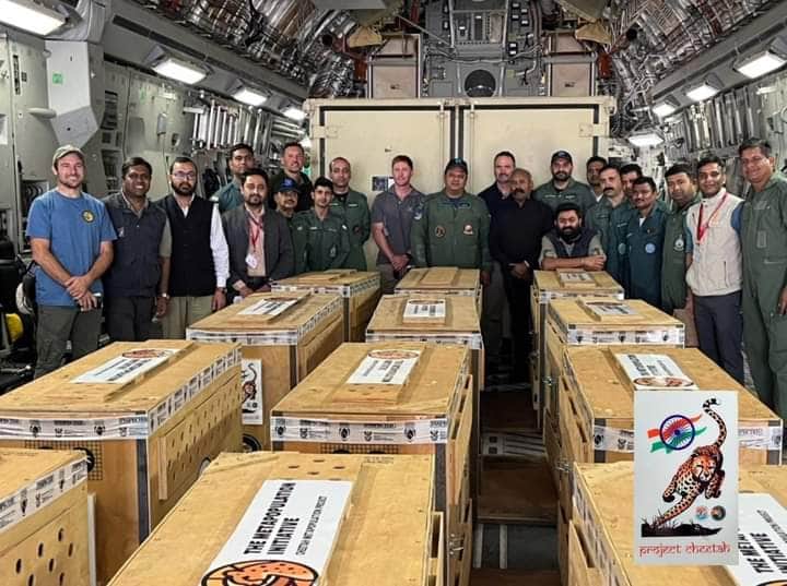 Kuno National Park: 12 more cheetahs came to Kuno, now 20, South African team will monitor