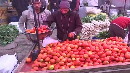 Meerut: Buy cheap tomatoes from here, wholesale prices Rs 90 to 120 per kg, 20 quintals sold in three hours