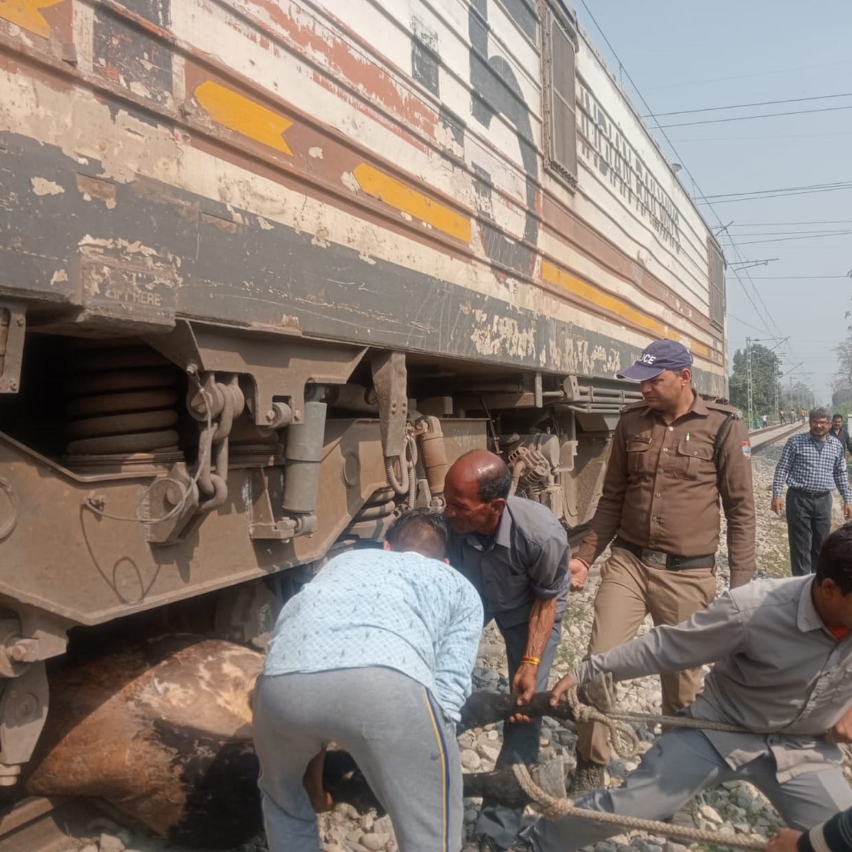 Bull trapped under the engine after hitting the train Udaipur City Express  going from Haridwar to Rishikesh
