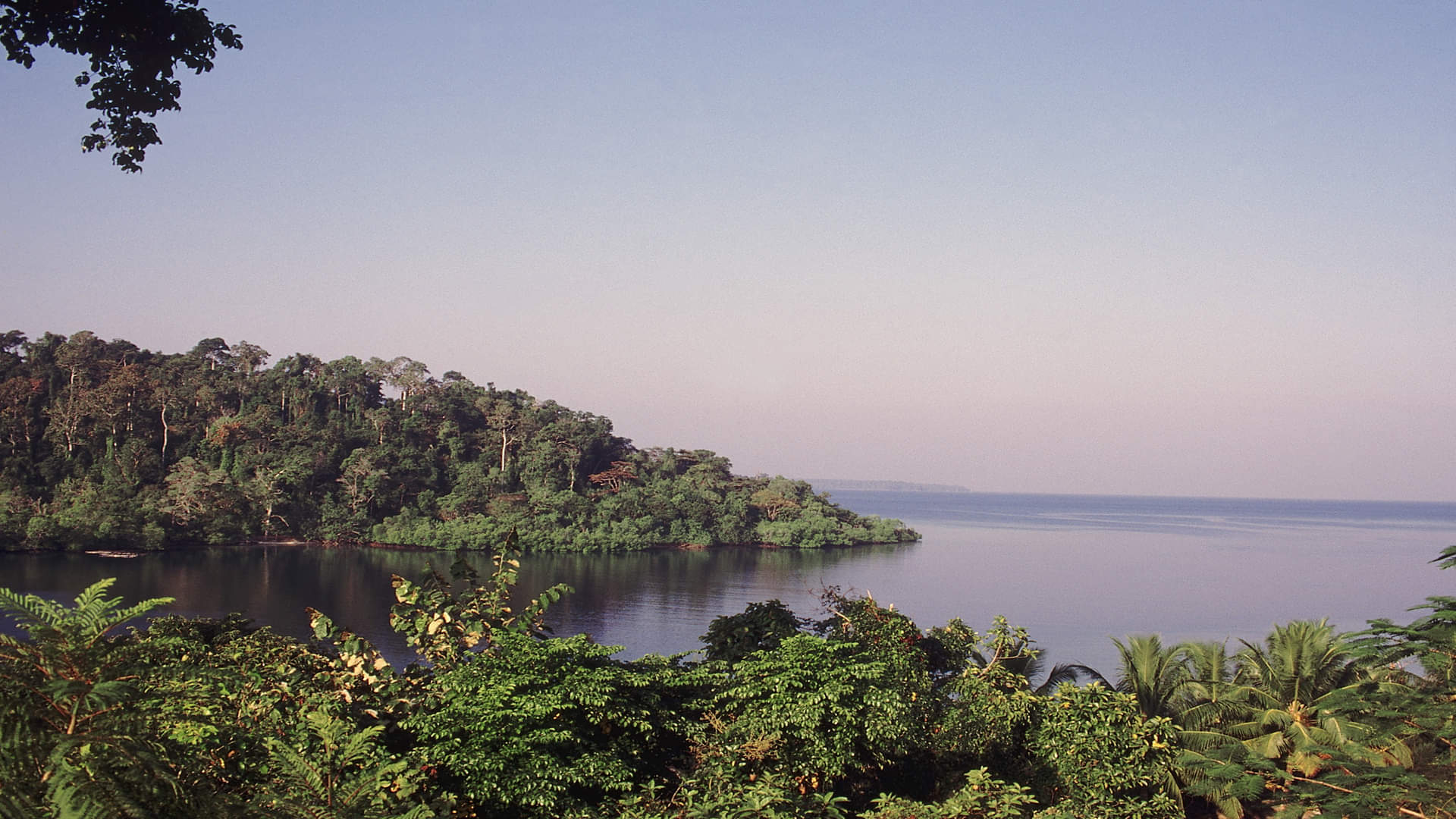 World’s Smallest Country Know Population Strength and Interesting Facts in Hindi