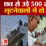 वायरल वीडियो