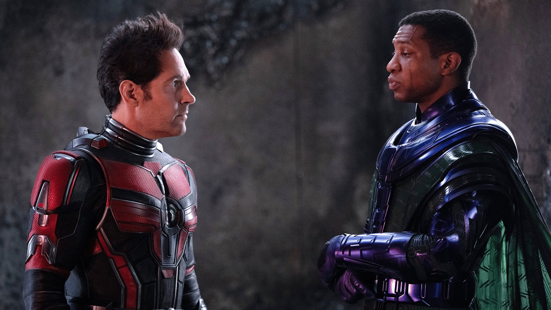Box Office Report shahrukh Khan Pathaan Shehzada akshay kumar selfiee ant man the the Wasp  Quantumania