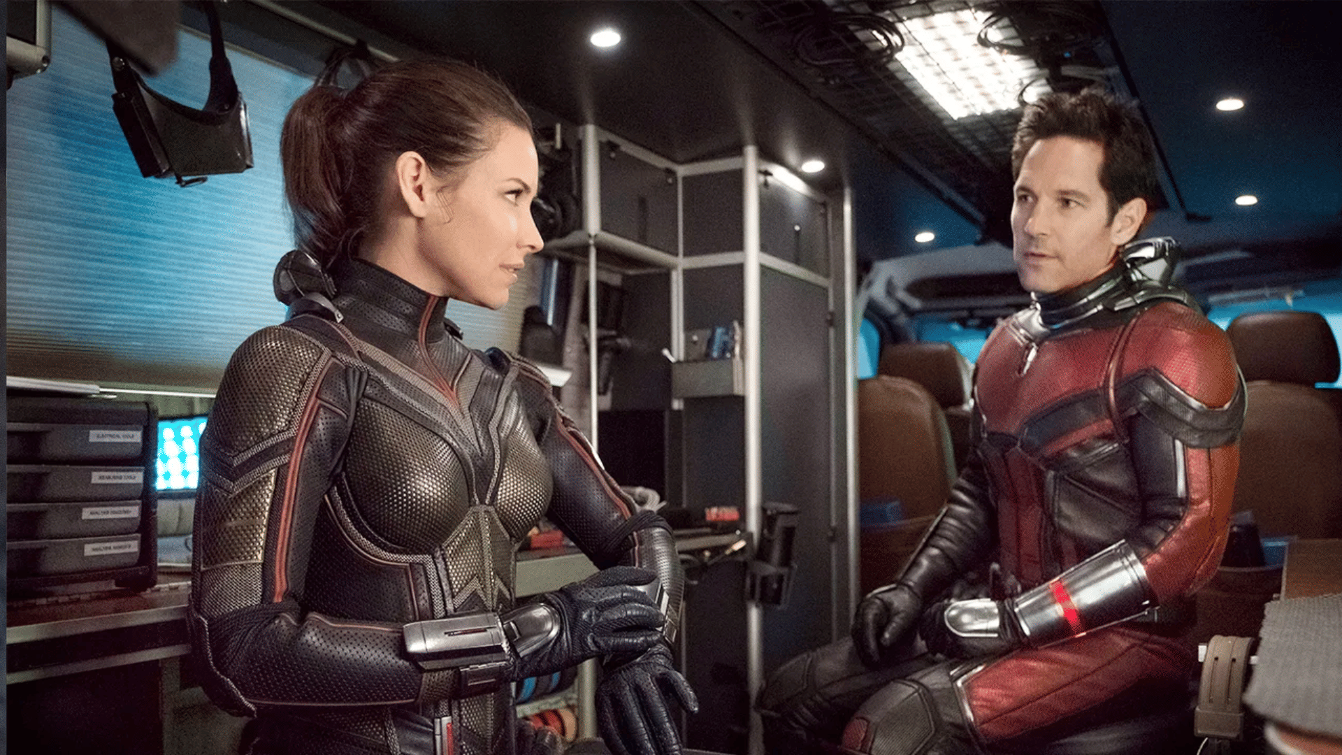 Saturday Box Office Report: SRK Pathaan Akshay Selfiee Shehzada Ant Man And The Wasp Quantumania Collection