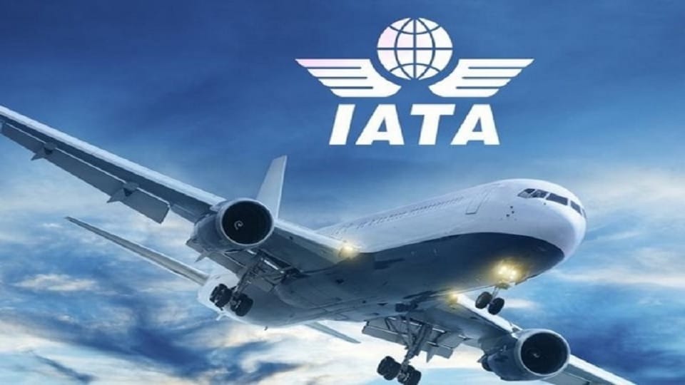 IATA DG Willie Walsh India exciting market Global airline industry 2024 Profit over 25 bn USD
