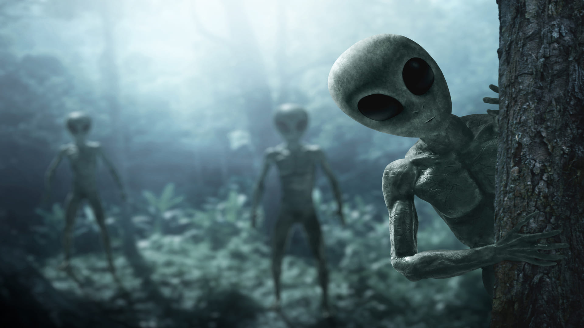 Mysterious Signal new algorithm detects mysterious signals from outer space step towards discovery of alien