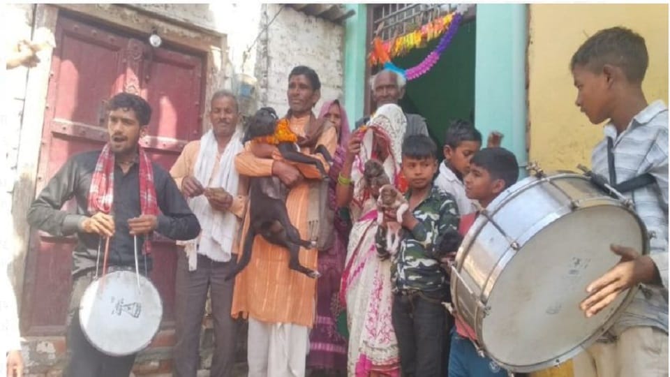 Julie ride with Band Baje Baggi Naming of five puppies