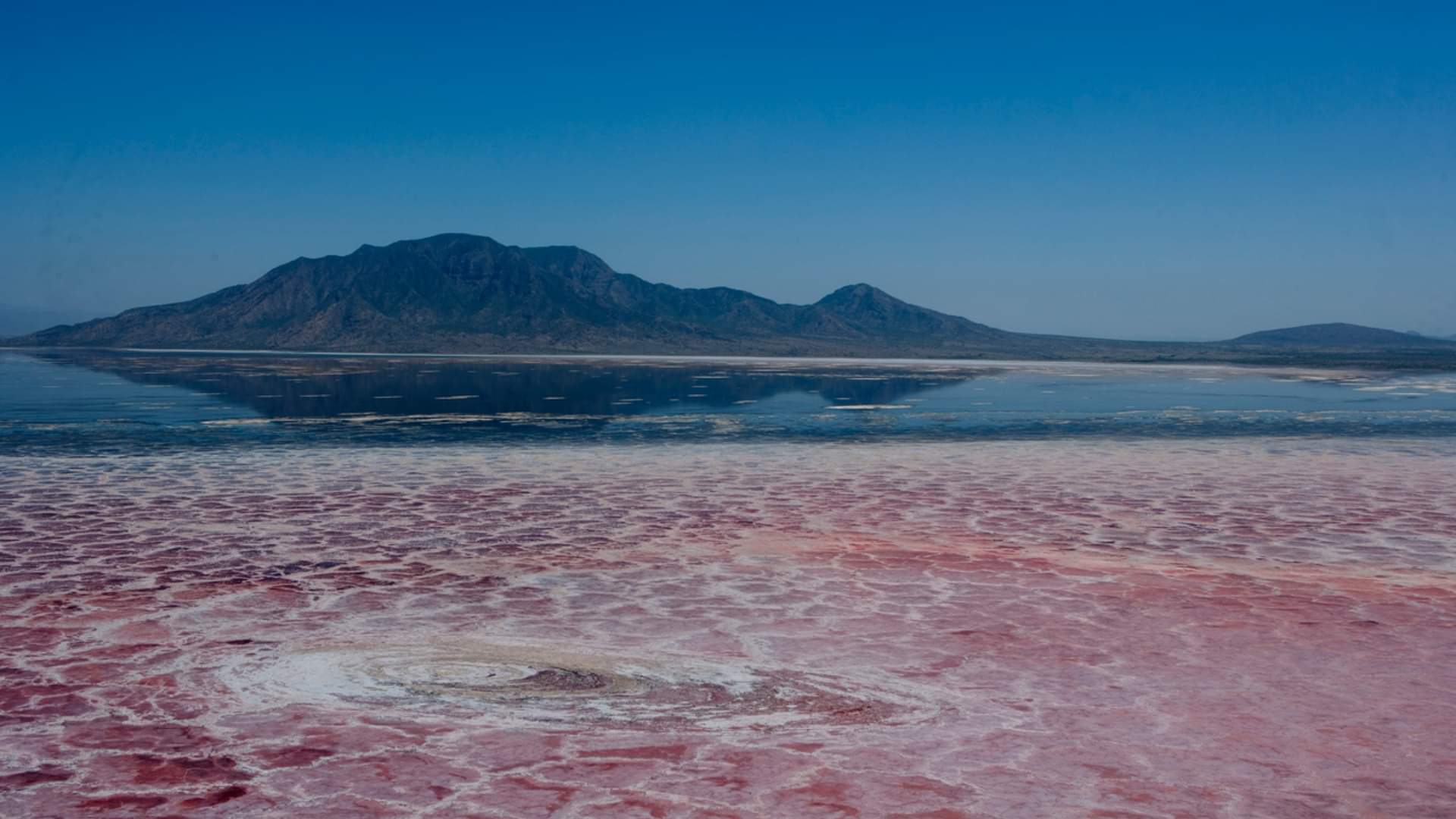 Lake Natron is Most Dangerous Lake in the World Know Interesting Facts in Hindi