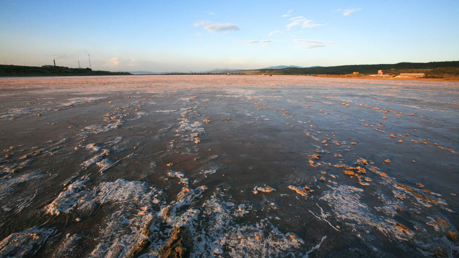 Lake Natron is Most Dangerous Lake in the World Know Interesting Facts in Hindi