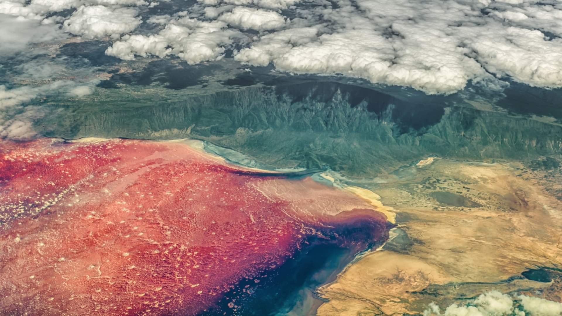 Lake Natron is Most Dangerous Lake in the World Know Interesting Facts in Hindi