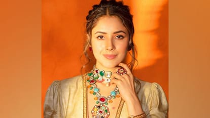 Desi Vibes with Shehnaaz Gill Actress Talk about Marriage plans Bhuvan Bam in show After Sidharth Shukla death