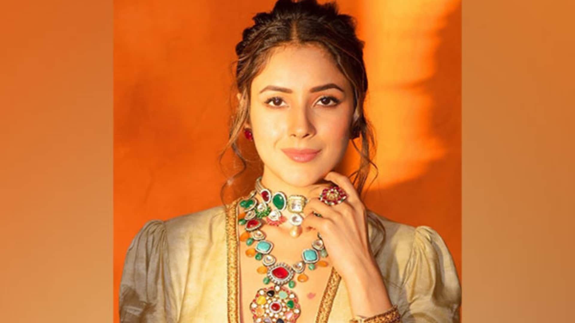 KKBKKJ Fame Shehnaaz Gill wants to work with KGF actor yash in south films