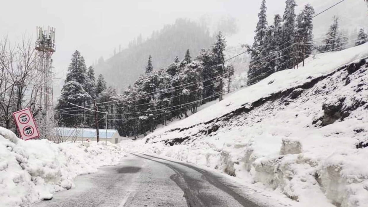 Around 900 tourists stranded in Sikkim due to heavy snowfall