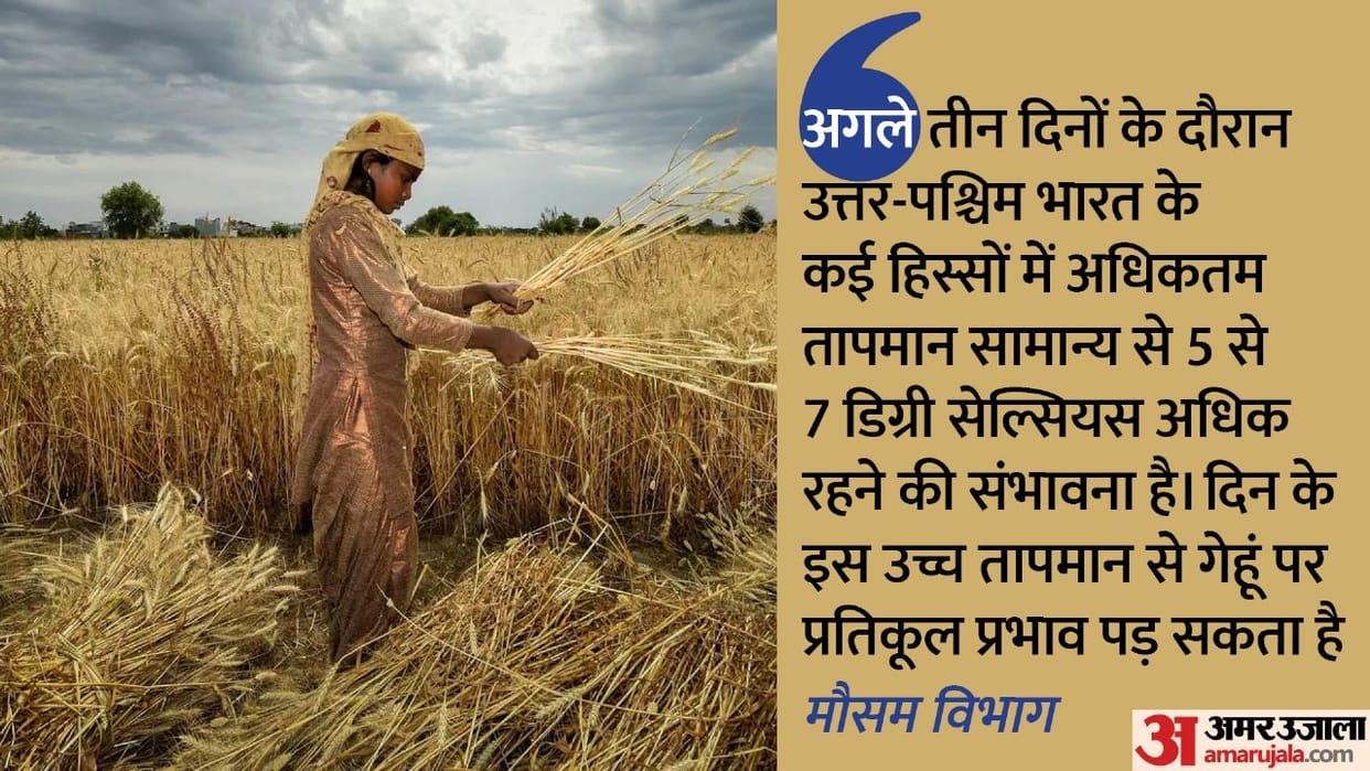 India Sets Up Panel To Assess Impact Of Higher Temperatures On Wheat Crop