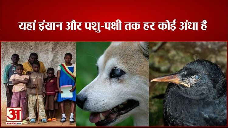 एयूवी