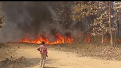 रिस्दी क्षेत्र में 12 एकड़ के रकबे में फैले सागौन की नर्सरी में आग लग गई।