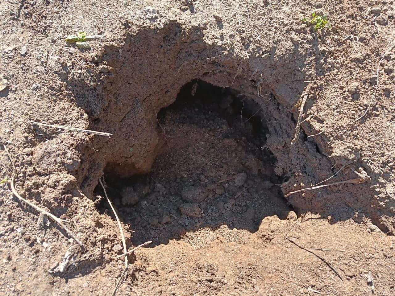 Joshimath Landslide increased in Manohar Bagh Ward 300 meter long cracks and large pits