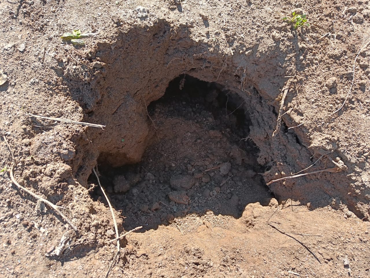 Joshimath Landslide increased in Manohar Bagh Ward 300 meter long cracks and large pits