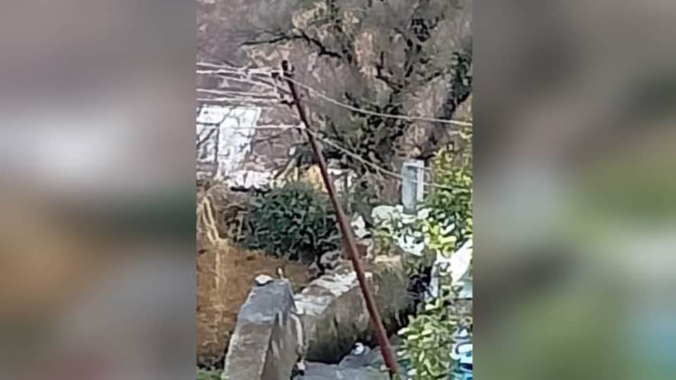 Joshimath Landslide land is sinking day by day In Marwari Ward Electricity pillars started bending