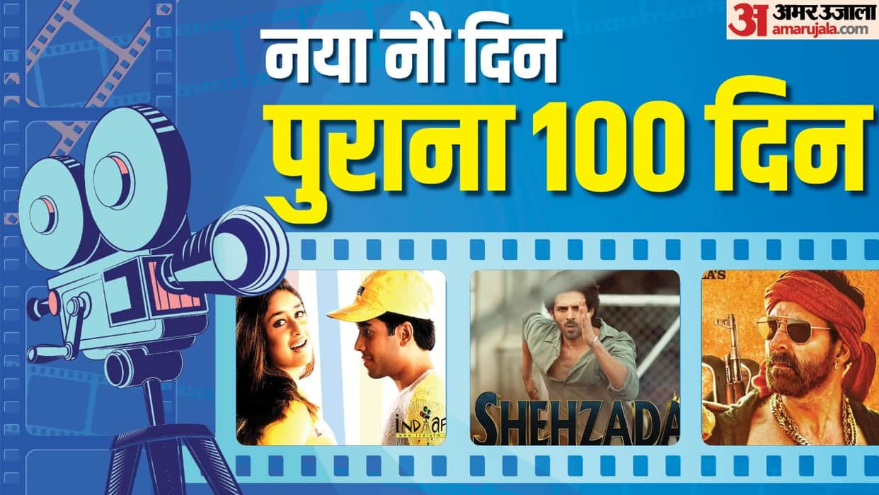 hese South Hit Movie Hindi Remaked Flopped in Bollywood From Youngistaan to Shahzada