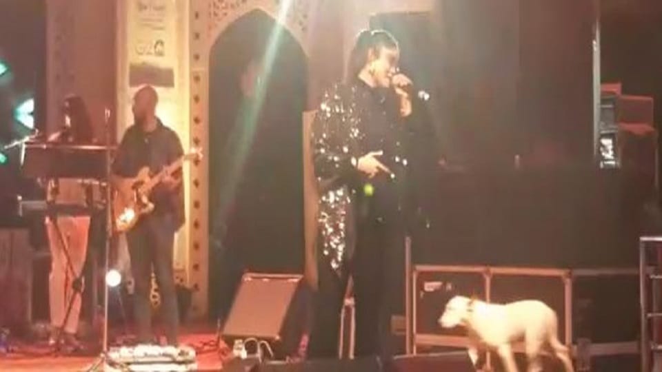 dog reached stage in midst of Sachet Tandon Parampara Thakur banging singing Taj Mahotsav 2023