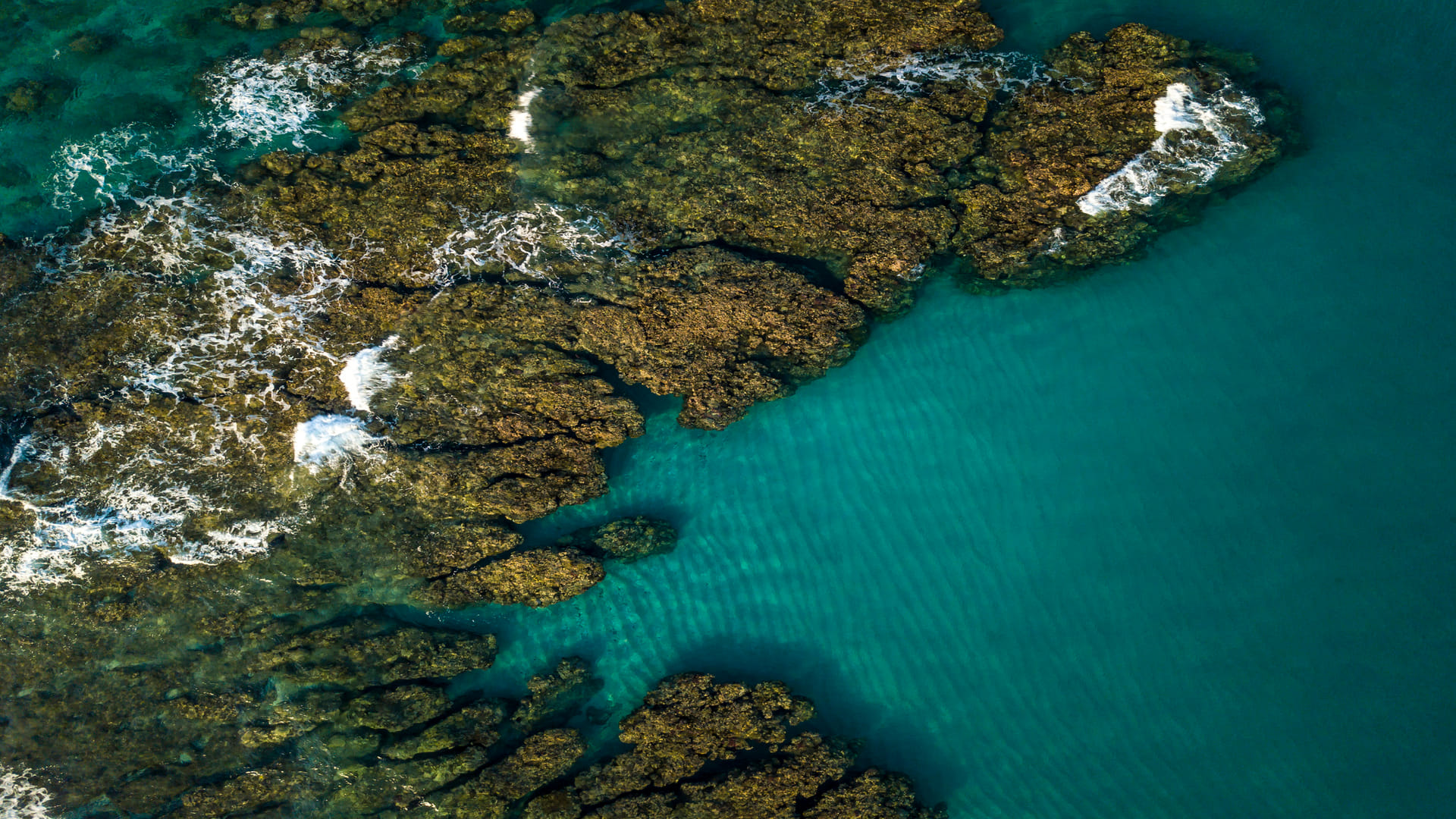Top 5 Dangerous Islands in the World Know Names Locations and Facts Full Details