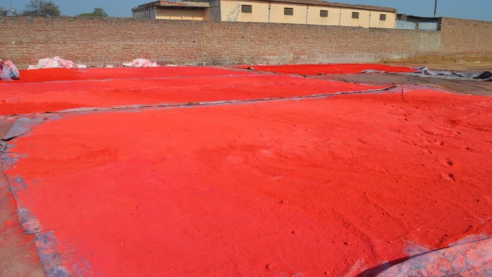 Production reduced in sound of Corona demand for Rang-Gulal increased