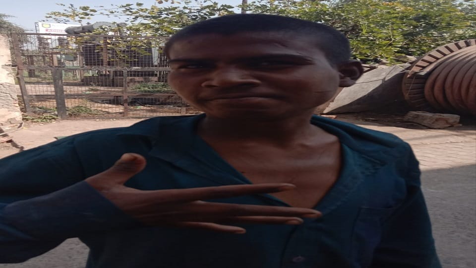Snake dies after biting a drug addict in viral video