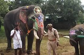 Hathini Vatsala can make Guinness World Record, age is being told 105 years
