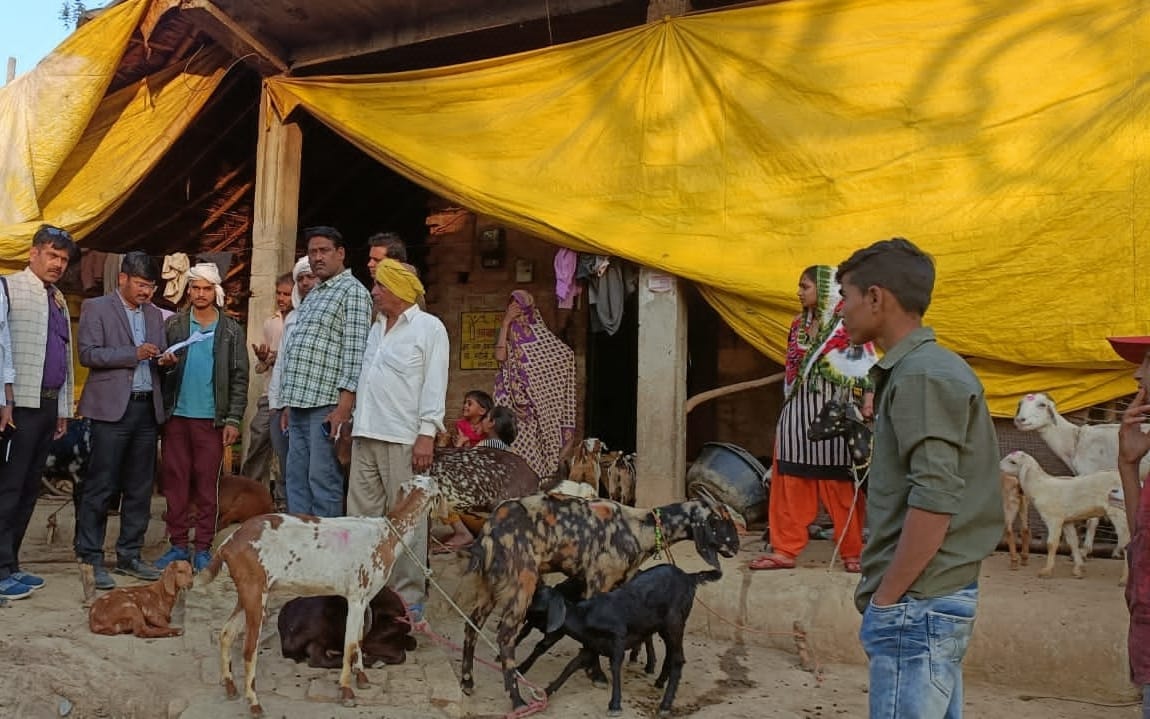 Kanpur fire Case, 22 goats were claimed to be burnt, 19 were found alive