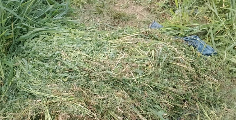 Brutal murder of a girl in Unnao, no injury found in her delicate body part