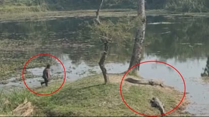 Maharajganj News: दर्जिनियां ताल में घुसा शख्स, सोशल मीडिया पर वीडियो वायरल दर्जिनियां ताल में घुसा शख्स।