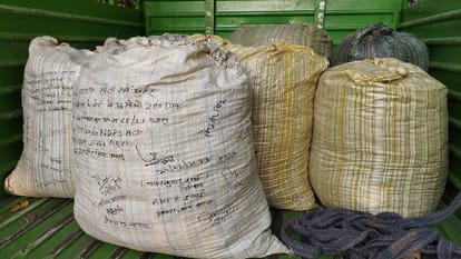cannabis worth 350 kilogram was recovered from basement of temple In narcotics department raid in Mathura