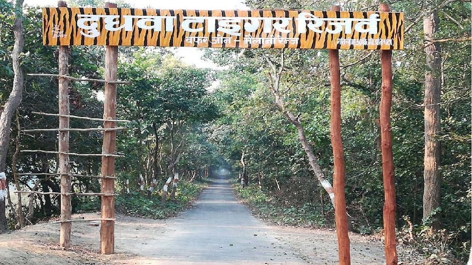International bloggers will promote Dudhwa Park to the world