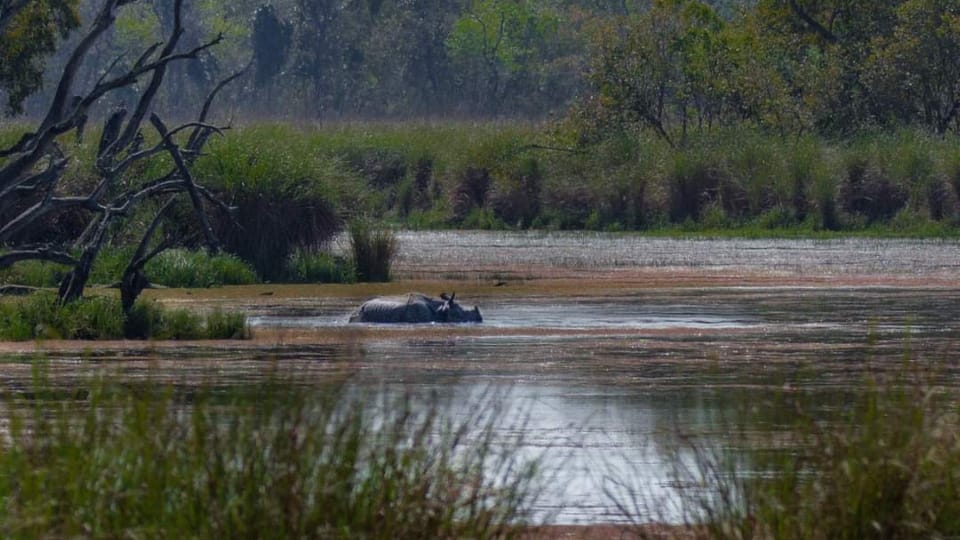 International bloggers will promote Dudhwa Park to the world