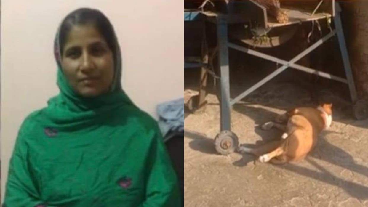 Woman killed by hitting an axe on her head in Sangrur of Punjab