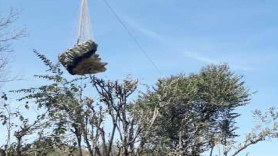 Paraglider fell on 11KV wires due to loss of balance in Reasi, seriously scorched