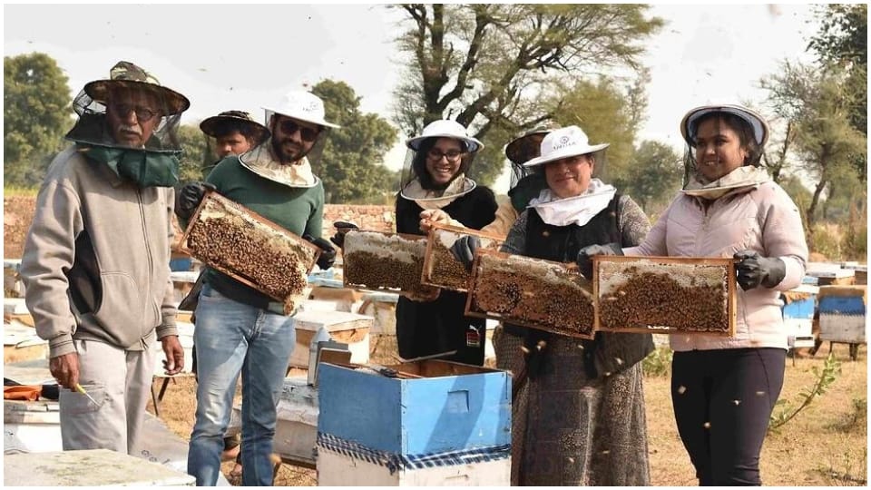 Startup of three girls from Jaipur making organic honey in states including Rajasthan