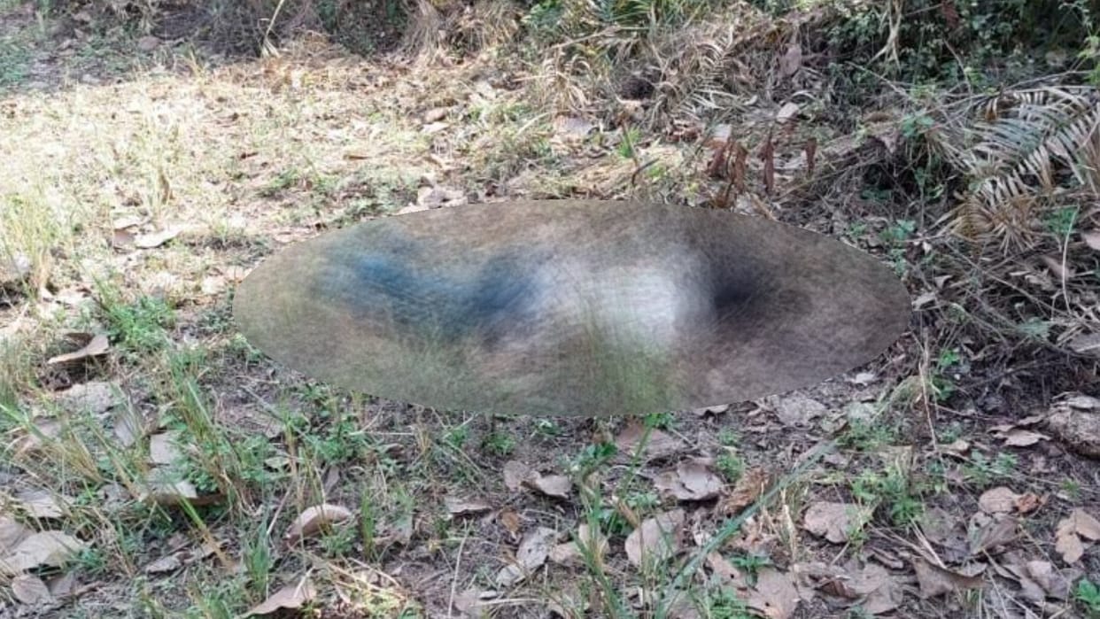Elephants killed a man in katarniaghat in Bahraich.
