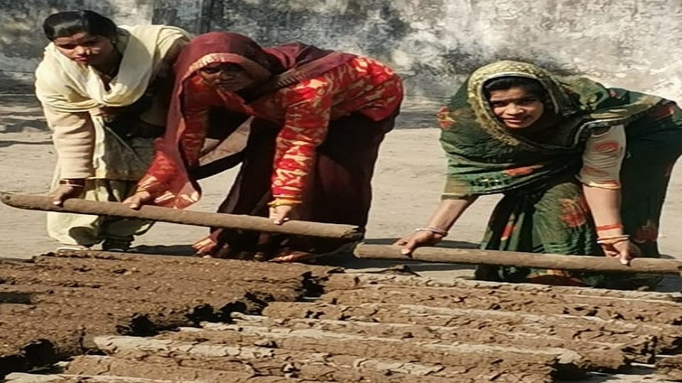Holika Dahan done from Gokashta women making cow dung wood in Gaushala