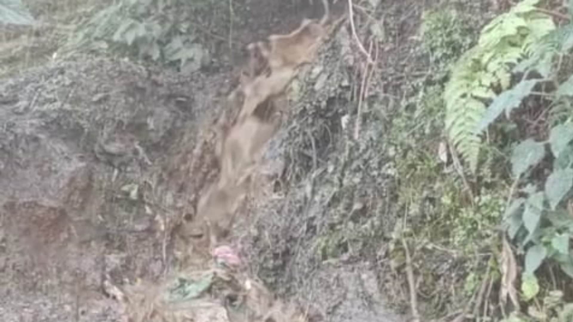 Joshimath Is Sinking Helicopter made five rounds over Joshimath city Uttarakhand news in hindi
