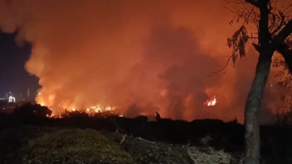 Noida: A fierce fire broke out in the field located in Sector 105