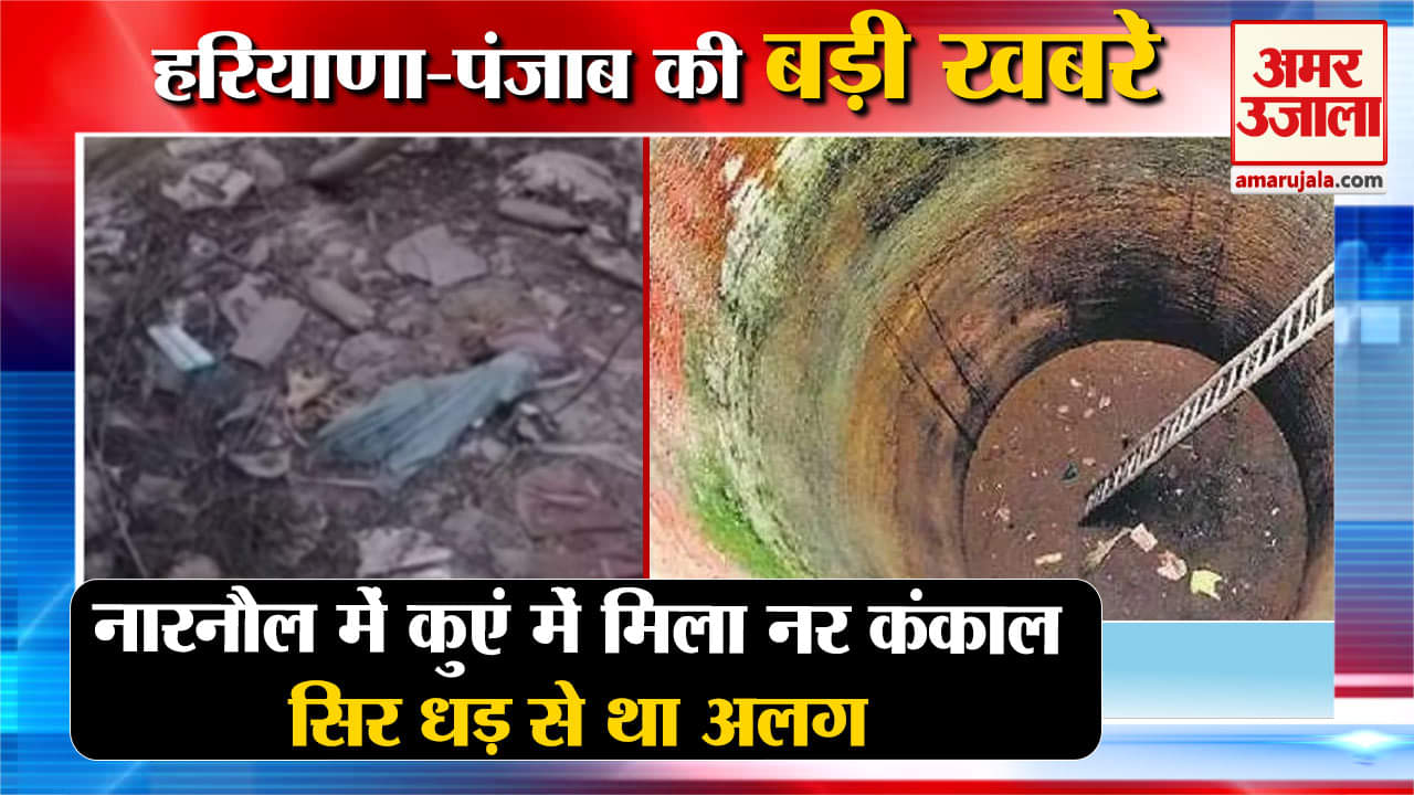 हरियाणा न्यूज