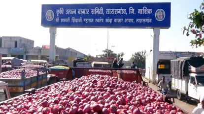 Maha: Farmers stop onion auction at Lasalgaon APMC over drop in prices